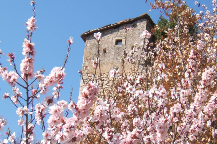 La Torricina, vista della Torre del Cornone
