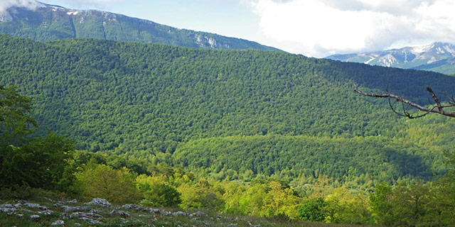 Dalla SS Trinità a Rocca di Mezzo