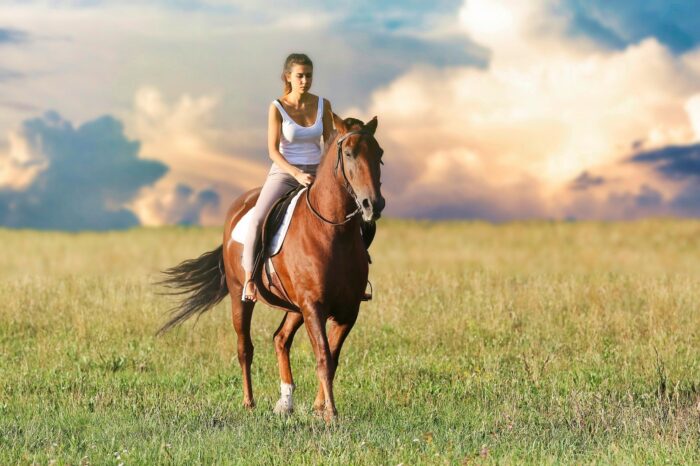 ESCURSIONI A CAVALLO